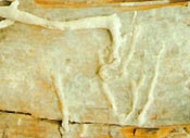 Stränge Image